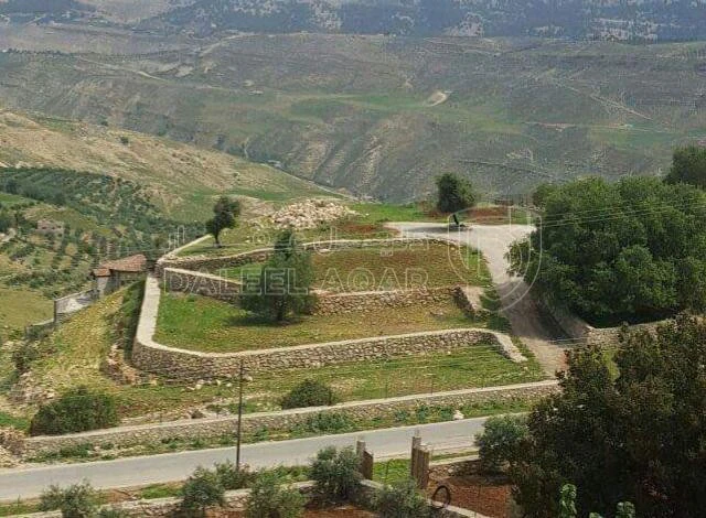 أرض في قطعة ارض للاستثمار في اجمل مناطق السلط - 190,000 دأ - صورة 1